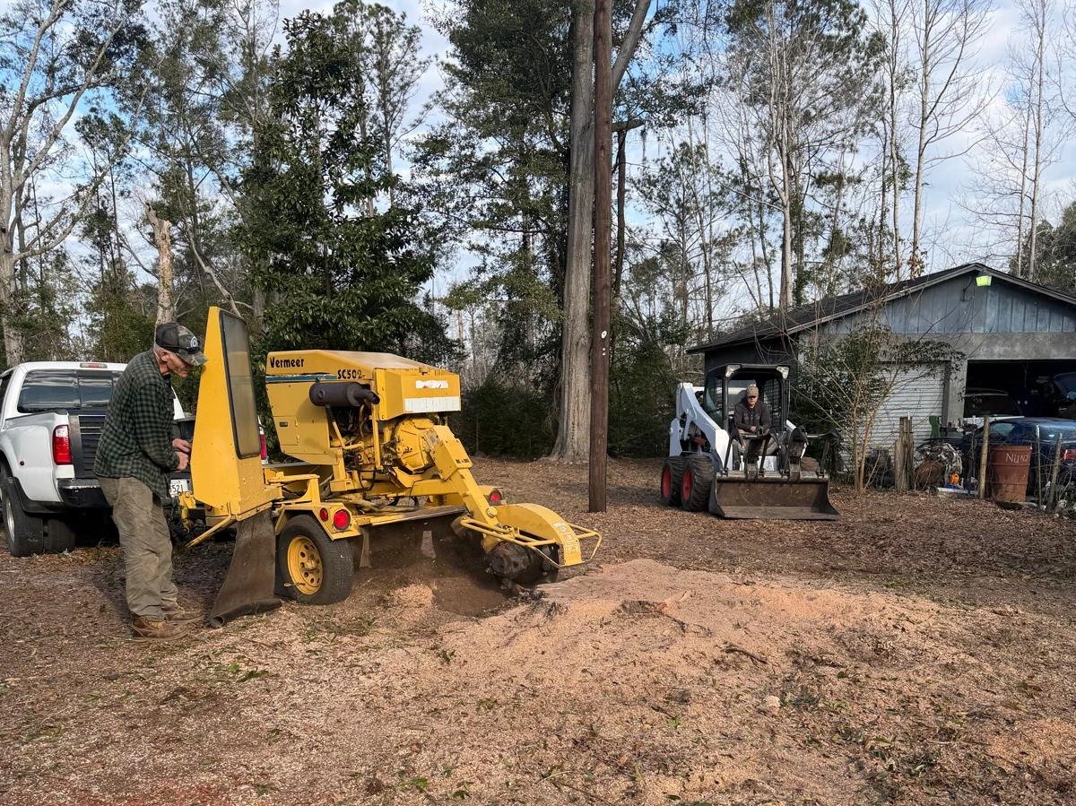 El Costeño Tree Service LLC